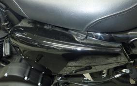 HARLEY XL1200NS 2019