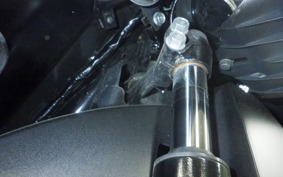 HONDA ﾀﾞﾝｸ 2010 AF78