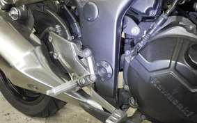 KAWASAKI Z250 2022 ER250C