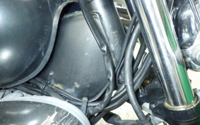 YAMAHA VIRAGO 250 2025 3DM