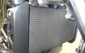 SUZUKI SV650 A 2024 VP55E