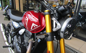TRIUMPH SPEED 400 2024 T127Y6