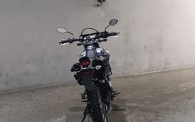 YAMAHA WR155R DG37