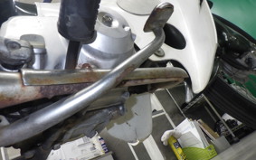 HONDA C50 SUPER CUB 2009 C50