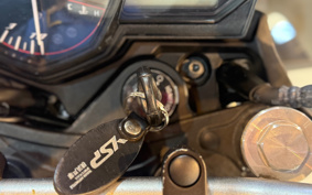 YAMAHA MT-25 RG10J