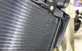 HONDA CB650R E-Clutch 2024 RH17