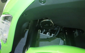 KAWASAKI ZX-4RR 2025 ZX400P