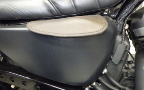 HARLEY XL883N 2017