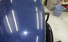 HARLEY FXBB1750 2019