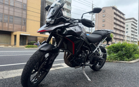 TRIUMPH TIGER 900GT PRO 2024 TRC82D