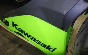 KAWASAKI ZX-4RR 2023 ZX400P