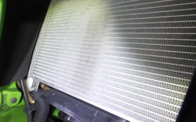 KAWASAKI NINJA 250 2019 EX250Y