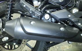 OTHER +ENFIELD HUNTER350 2025