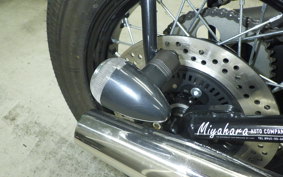 OTHER THUNDER250