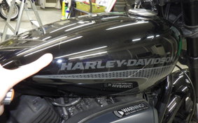 HARLEY XG750 STREET ROD 2019