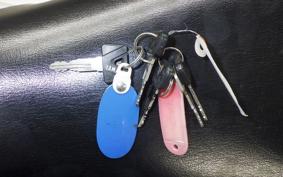 YAMAHA TZR250 2024 1KT