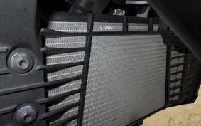 YAMAHA MT-25 A 2024 RG74J