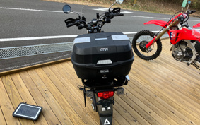 HONDA CT125 HUNTER  CUB  JA65