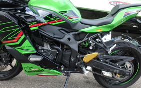 KAWASAKI NINJA ZX-4RR KRT ED 2023 ZX400P