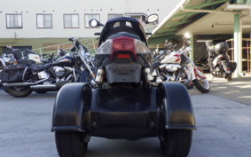 OTHER +UNREGISTERED MODEL by BDS TRIKE 2025