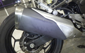 KAWASAKI Z250