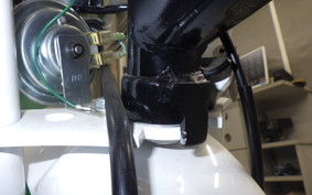 HONDA MONKEY 2020 Z50J