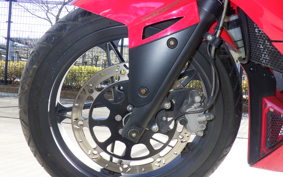 OTHER +ﾒｶﾞﾘ250R