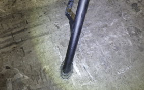 KAWASAKI Z250 Gen.2 2025 EX250Y