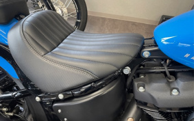 HARLEY FXBBS 2022 YYK