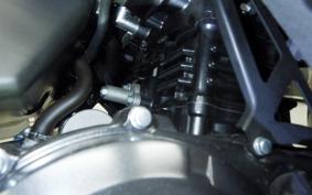 SUZUKI GSX250RA 2015