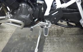 TRIUMPH TIGER 900 RALLY PRO 2022