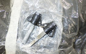 YAMAHA YZF-R15 RG86J