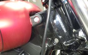 HARLEY FXBB1750 2019