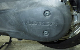 HONDA LEAD 110 2025 JF19