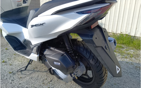 SUZUKI GLADIUS650 ABS 2017 CX112