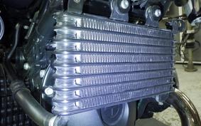 BMW R NINE T SCRAMBLER 2020