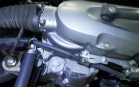 HONDA NAVI110 2026