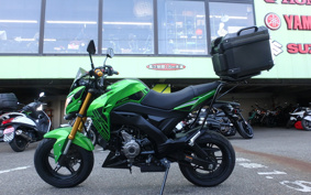 KAWASAKI Z125 PRO BR125H