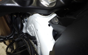 HONDA CRF1100L AFRICA TWIN DCT 2024 SD15
