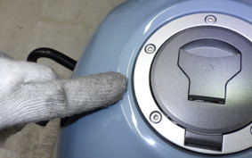 HONDA REBEL 250 2022 MC49