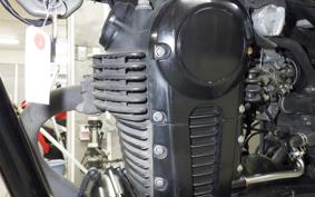 KAWASAKI 250TR 2016 BJ250F