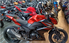 KAWASAKI Z250 ER250C