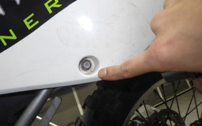 KAWASAKI KLX250 2022 LX250E