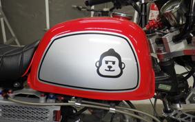 HONDA GORILLA 2021 Z50J