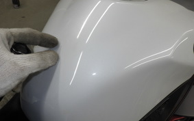 YAMAHA YZF-R1 2009 RN24J