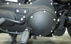 HARLEY XL1200NS 2019