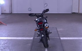 HONDA GROM