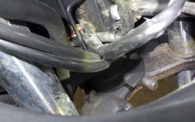 KAWASAKI NINJA 250 EX250L