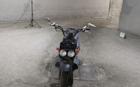 HONDA ZUMAR AF58