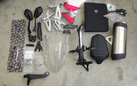 TRIUMPH SPEED TRIPLE RR 2022